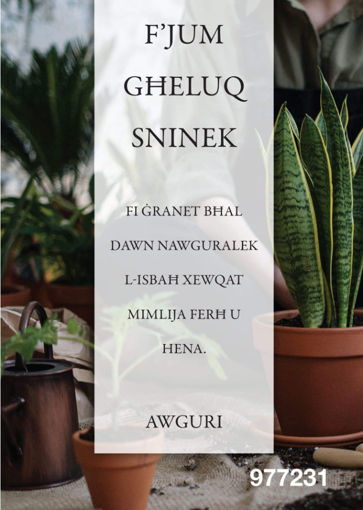 Picture of FJUM GHELUQ SNINEK KARTOLINA